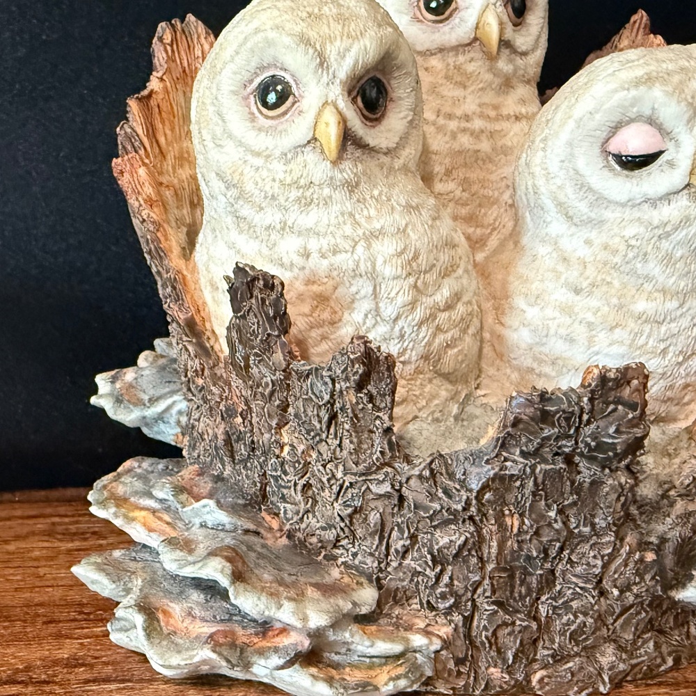 BORDER FINE ARTS Owl Figurine - Picture 8 of 16